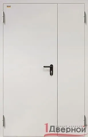 Техническая дверь ДМУ-2-60