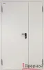 Техническая дверь ДТ2